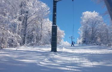 Gîte de famille dans les Vosges - Foto 32