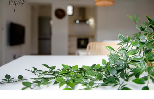 Résidence Leucate Plage « Le Patio » - Foto 12