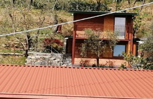 La Casetta di Molly tra ulivi e roseto - Foto 6