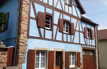 Studio Gite Fischer Ottrott - Photo 2