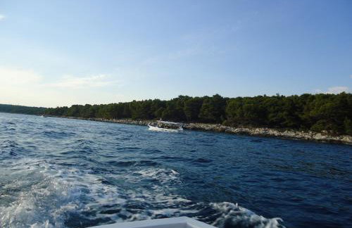 M. DE DOMINISA 5 - Foto 50