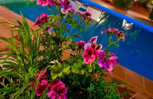 Villa Aladin - Photo 5