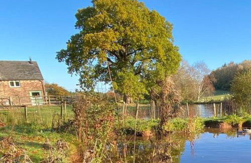 Oaklands Cottage on a rural farm - Foto 7