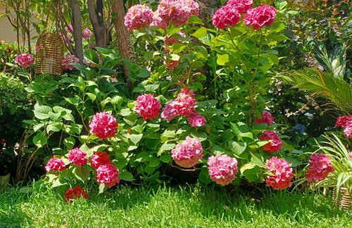 Maisonette on the beach with small garden - Foto 10