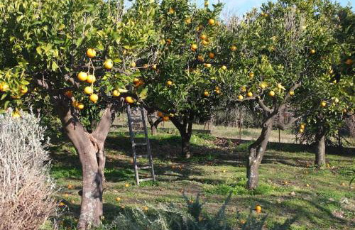 Uvatanta Cottage - Foto 19