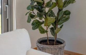 Casa Riza - Authentic Cretan Hospitality - Foto 27