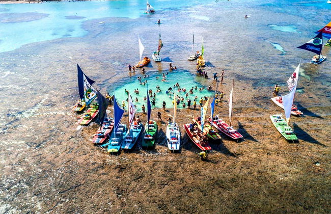 Excursion à Porto de Galinhas - Photo 4