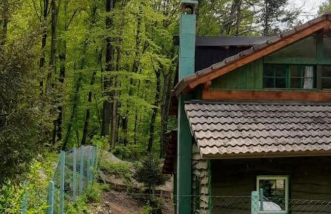 Holiday Home Green Side Cottage - Photo 7