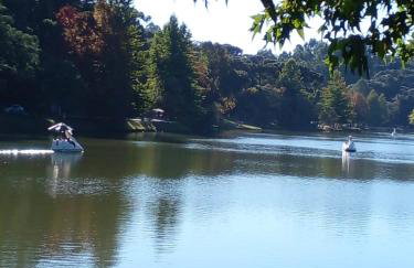 Casa Verde do Lago - Foto 23