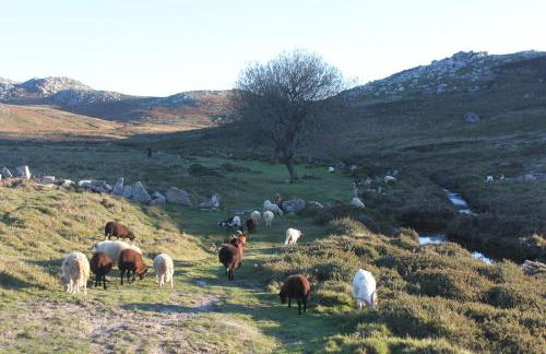 A Avozinha - Arouca - Foto 53