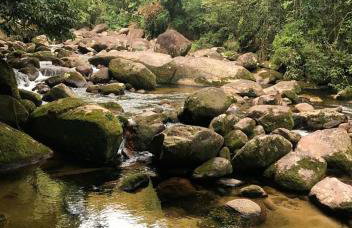 Casa da Floresta Barra do Una - Litoral Norte - Foto 29