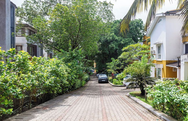 StayAtAloha-Lite - Photo 59