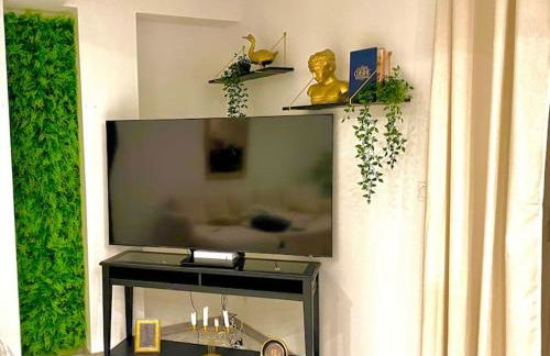 Toulouse vaste appartement très lumineux - Photo 9