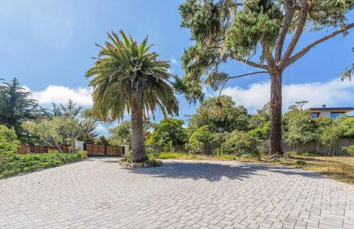 3900 Palm House on Cabrillo home - Foto 48