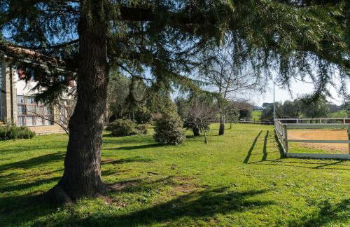 Villa immersed in green Isola dei Cavalli - Foto 25