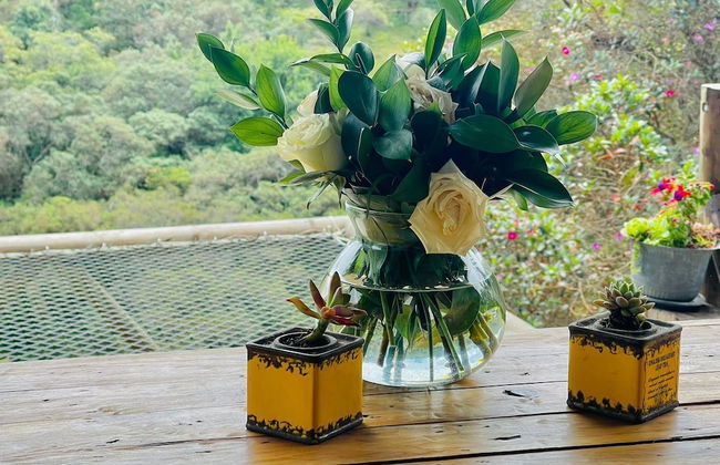 finca hotel zona 7 - Foto 73