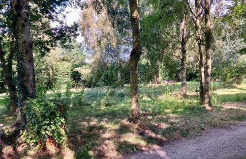 La maison normande 5 chambres - Foto 78