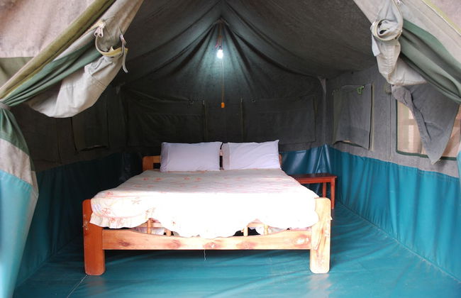 Crater Bay Cottages - Photo 14