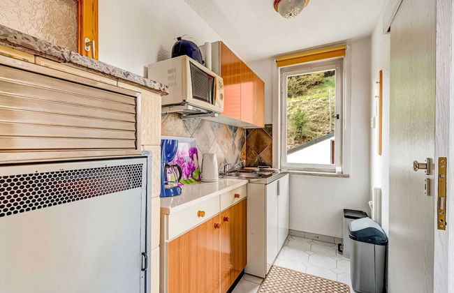 Ferienhaus im Thuringer Wald - Photo 8