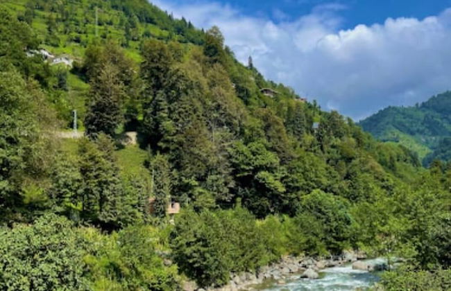 Hayalim Otel Cafe - Foto 19