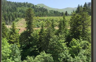 RÉSID BEC DE L AIGLE Studio 22 - LE LIORAN - Photo 23