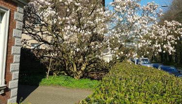 Gartenblick - Foto 2