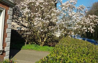 Gartenblick - Photo 2