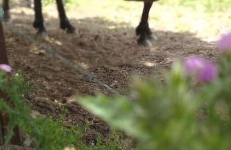 El Pinar del Rondero J&M En Plena Naturaleza - Photo 13