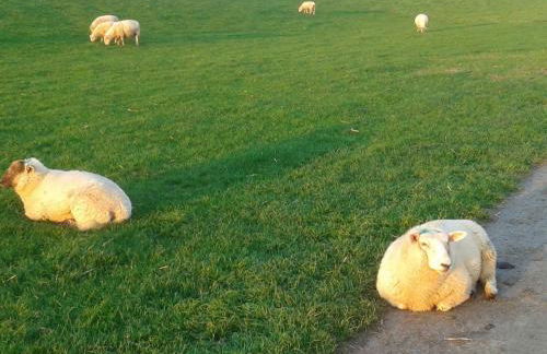 Luxus Chalet mit überdachter Terrasse, beste Lage - Foto 16