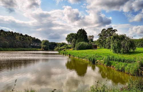 Kingfisher Lodge - Foto 12