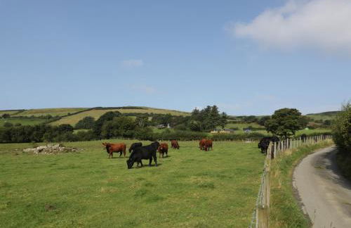 Dysynni Pod - Foto 19