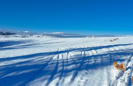 Willa Rąbanisko z sauną fińską - Foto 70