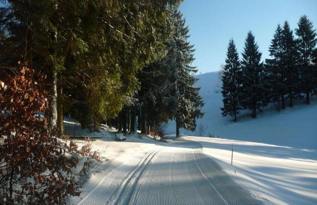 Small and Cozy Apartment in Frauenwald near Forest - Foto 23