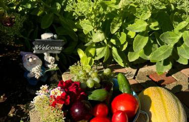 Holiday home Iva with pool - Foto 13