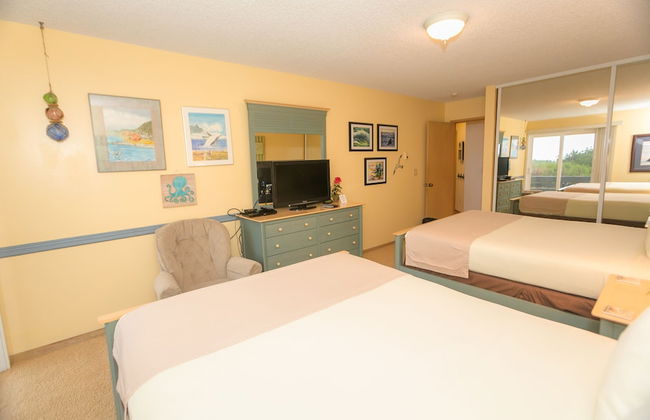 The Grey Gull - Foto 15