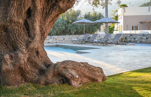 PAUL'S VILLA PLAKIAS - Photo 37