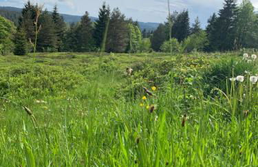 Haus Anna EG - Foto 20