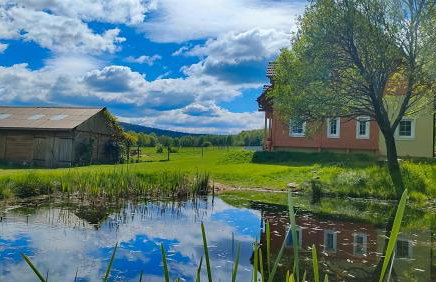 ApaLuza - Góry Izerskie & Karkonosze - Pool - Horses - Nature - Foto 34