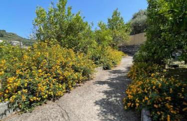 Villa Rosmary - Foto 72