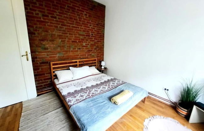 Boheme Proprety in the Heart of Timisoara - Foto 3