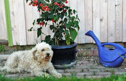 Luxus-Ferienhaus auf Reiterhof ART.Quartier - Foto 22