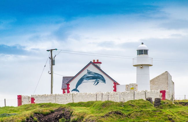 Dingle Harbour Cottages - Foto 38