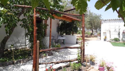 Villa L'Oliveto - Foto 4, Garden