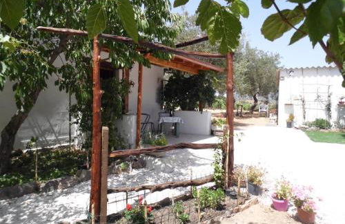 Villa L'Oliveto - Foto 4