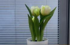 TOP VIEW SKY & SEA- Maloves Władysławowo - Prywatny apartament na wynajem -widok na morze ,taras ,aneks - Foto 43