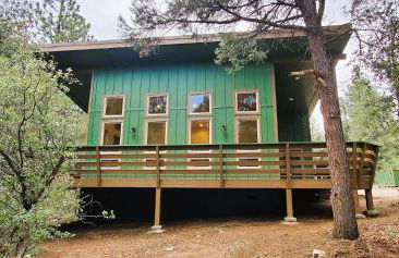 Bearly Connected, a brand new cabin in the woods - Foto 2