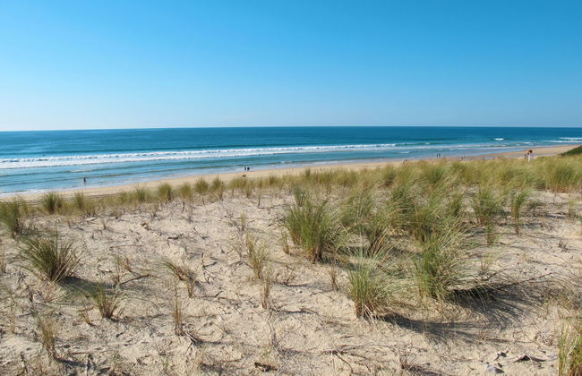 Résidence Indigo II - Foto 22