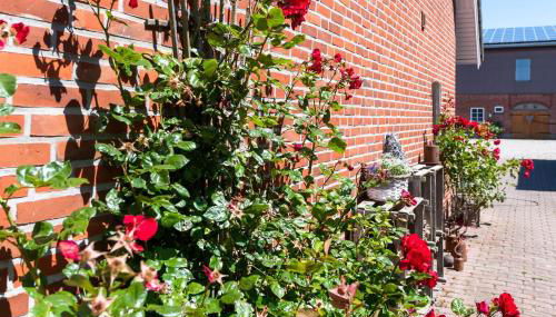 Backhaus-Wohnung-3 - Foto 2