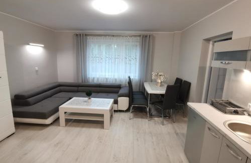 APARTAMENT Magurka - Foto 7