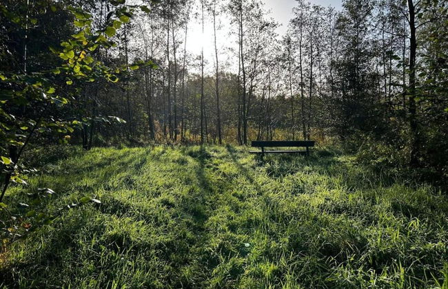 Cottage in Menaam Near Frisian Landscape - Foto 30